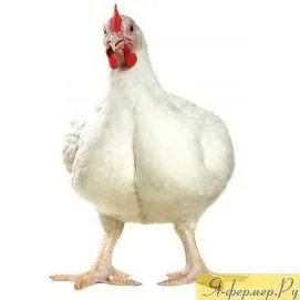 Хто більше