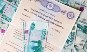 Купити кімнату на материнський капітал умови покупки і закони в 2017 році (капітал) Купити кімнату на материнський капітал умови покупки і закони в 2017 році