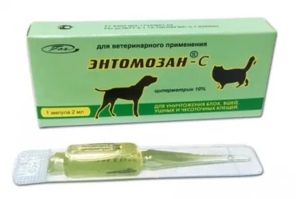 Курячі воші опис, засоби боротьби (боротьби) Курячі воші опис, засоби боротьби