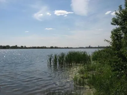 Курганська область, «озеро ведмеже» (санаторій) (область) Курганська область, «озеро ведмеже» (санаторій)