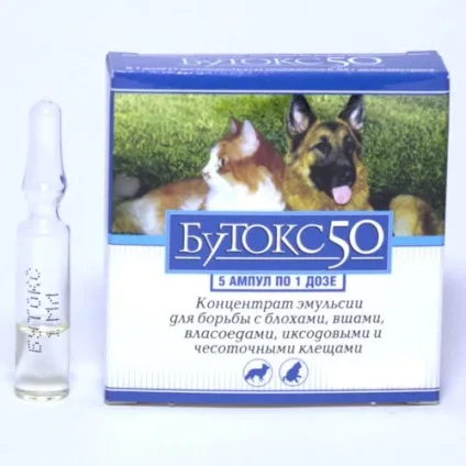Курячі воші опис, засоби боротьби (курячі) Курячі воші опис, засоби боротьби