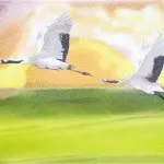 Кухня в японському стилі фото в інтер'єрі і секрети дизайну