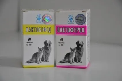 Лактобіфід для кішок показання, особливості, застосування (показання) Лактобіфід для кішок показання, особливості, застосування