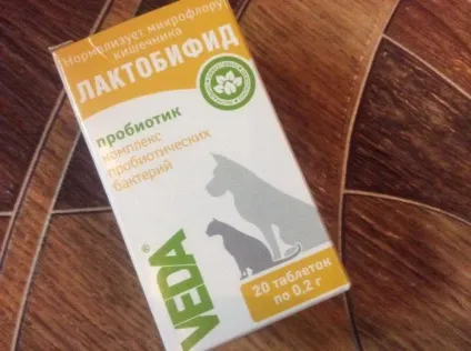 Лактобіфід для кішок показання, особливості, застосування (кішок) Лактобіфід для кішок показання, особливості, застосування
