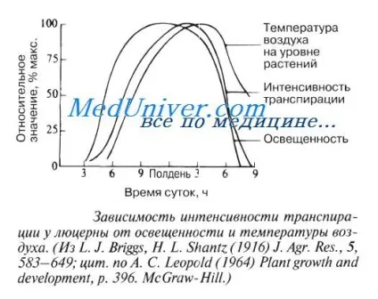 Кутикула, продихи рослин