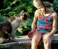 Лікування рожевого лишаю симптоми, профілактика захворювання (захворювання) Лікування рожевого лишаю симптоми, профілактика захворювання