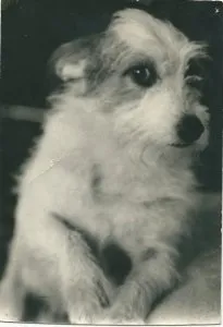 Лаша, клава, бив і інші родичі, марина собе-Паньок (собе-Паньок) Лаша, клава, бив і інші родичі, марина собе-Паньок