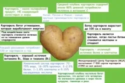 Лікування геморою в домашніх умовах картоплею методи народної медицини (лікування) Лікування геморою в домашніх умовах картоплею методи народної медицини