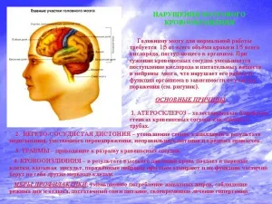 Лікування нервової системи і гіпертонічних хвороб в санаторіях - лікування запаморочення при (лікування нервової системи і гіпертонічних хвороб в санаторіях) Лікування нервової системи і гіпертонічних хвороб в санаторіях - лікування запаморочення при