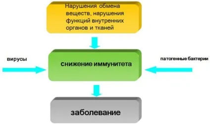 Лікування медом молочниці у жінок (молочниці) Лікування медом молочниці у жінок