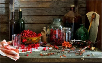 Лікування варикозу народними засобами (засобами) Лікування варикозу народними засобами
