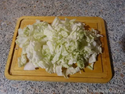 Локшина з тофу, рецепт з фото локшини з сиром тофу і овочами покроково (локшини) Локшина з тофу, рецепт з фото локшини з сиром тофу і овочами покроково