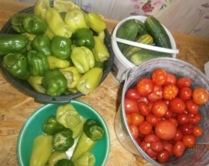Лечо з помідорів і перцю без масла, без оцту з покроковими фото, люблю свій сад (масла) Лечо з помідорів і перцю без масла, без оцту з покроковими фото, люблю свій сад