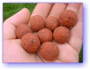 Ловля карася і білого амура на Бойл (карася) Ловля карася і білого амура на Бойл