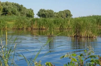 Ловля карася на спінінг