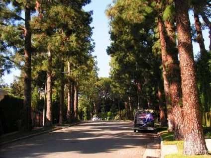 Los angeles