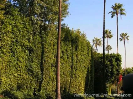 Los angeles