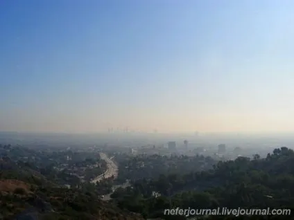 Los angeles