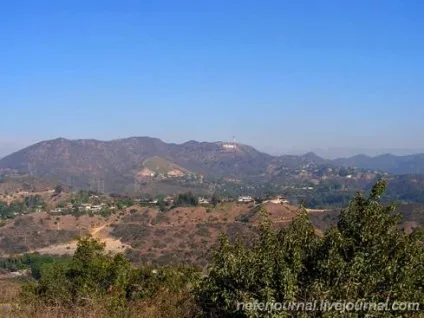 Los angeles