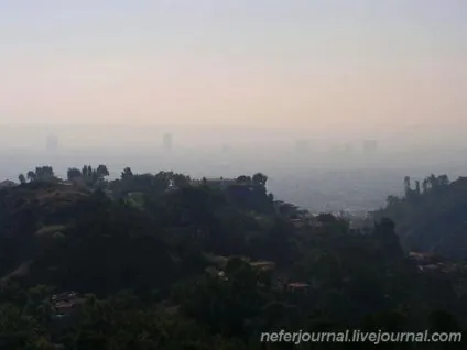 Los angeles
