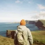 Маленька біла кішка знає, що таке любов (знає) Маленька біла кішка знає, що таке любов