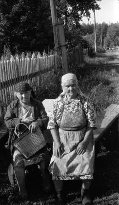 Мала батьківщина
