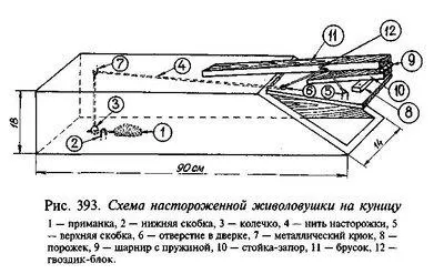 Пастки (живоловушки) - своїми руками - інтернет-додаток журналу - байанай (руками) Пастки (живоловушки) - своїми руками - інтернет-додаток журналу - байанай