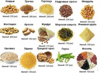Магній б6 для дітей користь і джерела мікроелемента (проблеми концентрацією уваги) Магній б6 для дітей користь і джерела мікроелемента