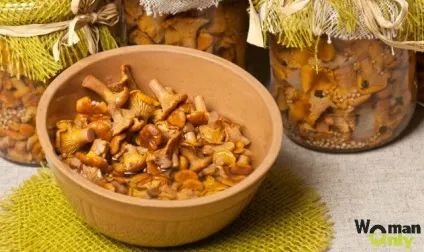 Мариновані лисички найсмачніші рецепти (смачні) Мариновані лисички найсмачніші рецепти