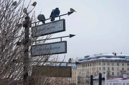 Маршрут прогулянки по Пітеру взимку (маршрут по Пітеру) Маршрут прогулянки по Пітеру взимку