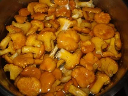 мариновані лисички