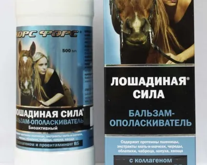 Маска кінська сила відгуки тане бальзам з перцем, відгуки лікарів про шампунь, відгуки фахівців (відгуки) Маска кінська сила відгуки тане бальзам з перцем, відгуки лікарів про шампунь, відгуки фахівців