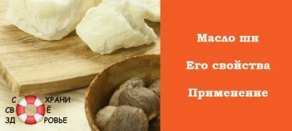 Масло ши властивості і застосування для тіла, обличчя та волосся (масло ши каріте властивості і застосування відгуки для волосся для обличчя від зморшок як використовувати для тіла застосування замість крему в косметології) Масло ши властивості і застосування для тіла, обличчя та волосся