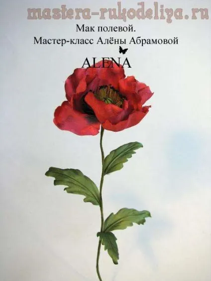 Майстер-клас квіти з тканини - мак польовий (квіти з тканини мак своїми руками) Майстер-клас квіти з тканини - мак польовий