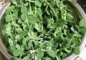 Мед штучний і бджолиний, користь і шкода їжі (шкода) Мед штучний і бджолиний, користь і шкода їжі