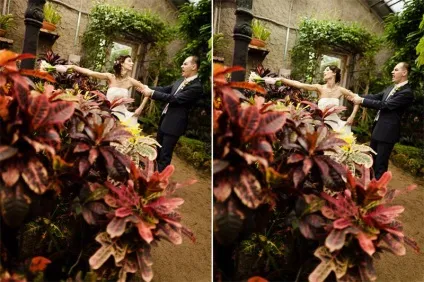 Місця для весільної фотосесії взимку і в дощ (потрібно домовлятися заздалегідь) Місця для весільної фотосесії взимку і в дощ