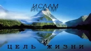 Іслам і мета життя
