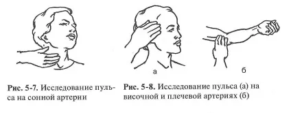 дослідження пульсу