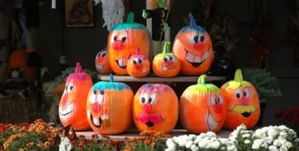 Виготовлення виробів з гарбуза своїми руками детально, з фото, різні (рецепти) Виготовлення виробів з гарбуза своїми руками детально, з фото, різні
