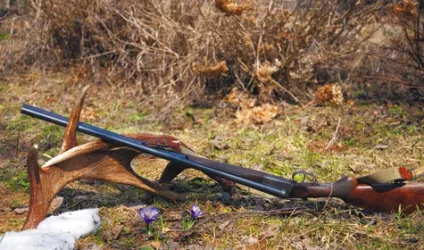 І правда, один раз на рік стріляє - зброя (стріляє) І правда, один раз на рік стріляє - зброя