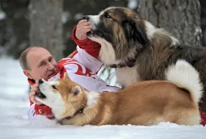 Відомі політики і їх чотириногі улюбленці - новини в фотографіях () Відомі політики і їх чотириногі улюбленці - новини в фотографіях