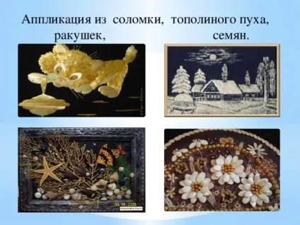 З історії аплікації