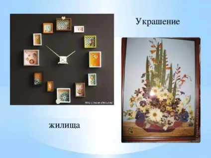 З історії аплікації