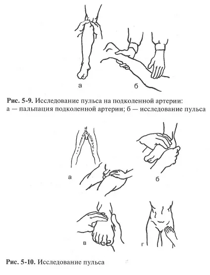 дослідження пульсу