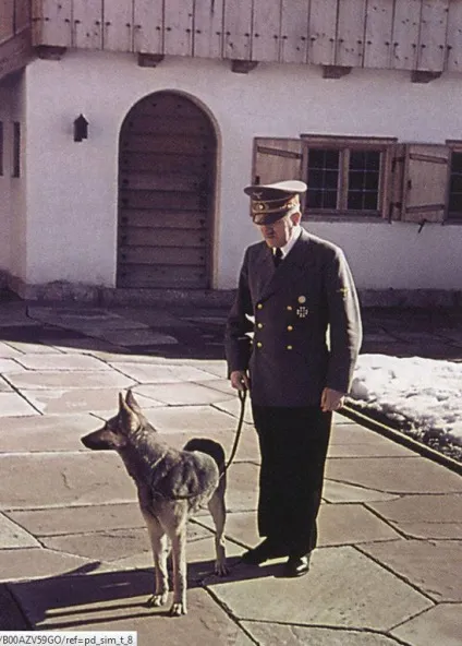 Відомі політики і їх чотириногі улюбленці - новини в фотографіях () Відомі політики і їх чотириногі улюбленці - новини в фотографіях
