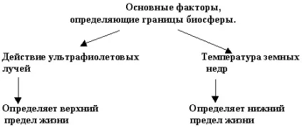 Методична розробка уроку - біосфера-глобальна екосистема (функції живого речовини) Методична розробка уроку - біосфера-глобальна екосистема