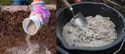 Методи захисту баклажанів від колорадського жука, osadovod - все про садe, городі і дизайні (баклажанів) Методи захисту баклажанів від колорадського жука, osadovod - все про садe, городі і дизайні