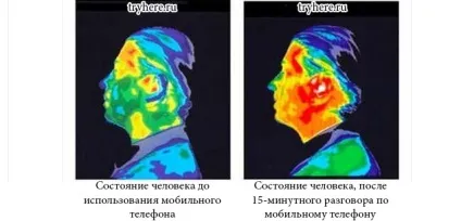 Мобільний телефон небезпечний для життя - корисні поради, уроки від авторів, комп'ютерний світ, новини (радіація) Мобільний телефон небезпечний для життя - корисні поради, уроки від авторів, комп'ютерний світ, новини