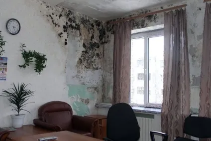 Мокрі стіни в квартирі взимку - що робити (робити) Мокрі стіни в квартирі взимку - що робити