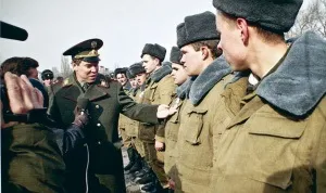 заколот Рохліна
